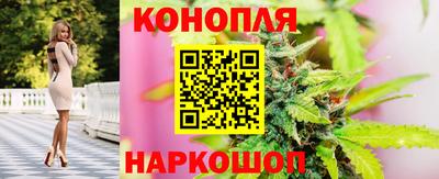 ECSTASY Малгобек
