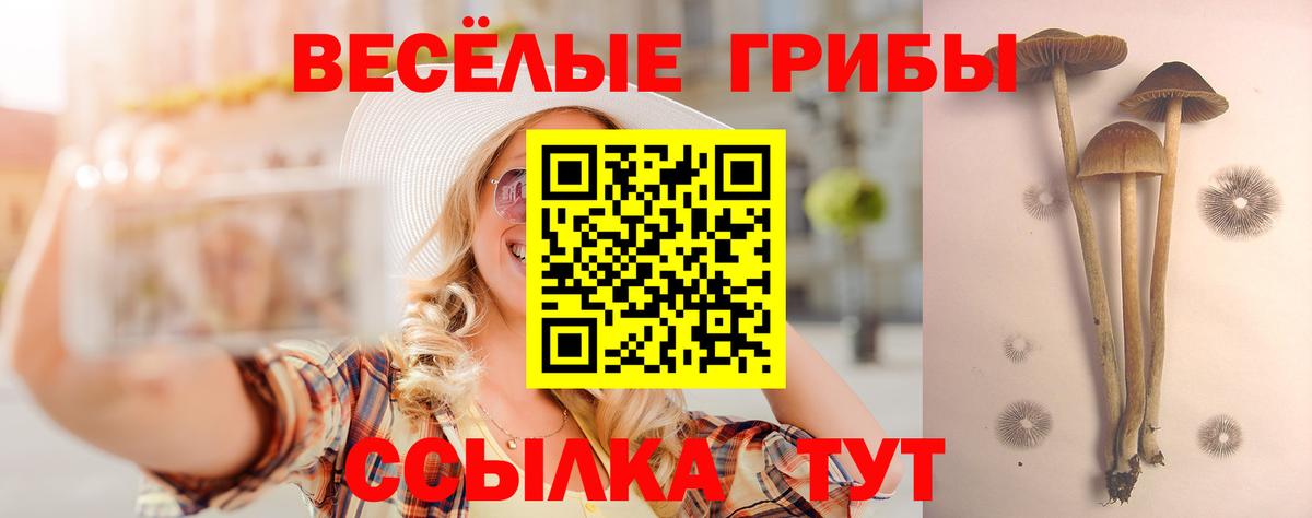 Псилоцибиновые грибы ЛСД  Вход с VPN  Тверь  Псилоцибиновые грибы MAGIC MUSHROOMS 